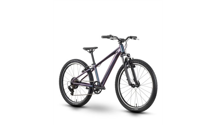 Raymon Nayta 24 Comp 26J
