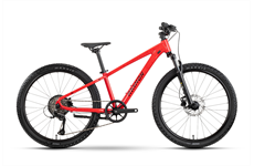 Raymon Nayta 24 Pro 26J (red marble)
