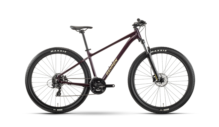 Raymon Nayta 27.5 26J