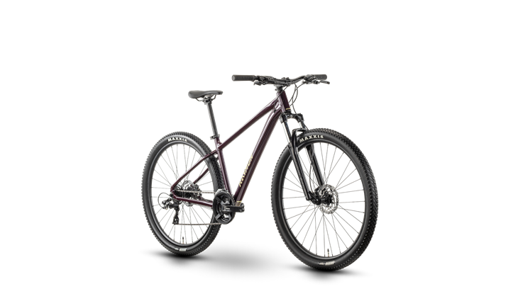 Raymon Nayta 27.5 26J