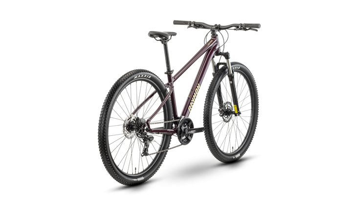 Raymon Nayta 27.5 26J