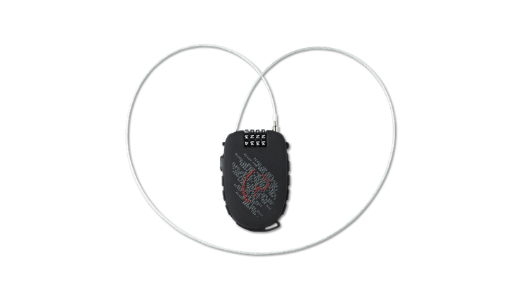 RFR Kabelschloss Mini 900mm