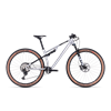 Cube AMS ZERO99 C:68X Race 29 23J