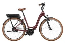 Riese & Müller Swing4 vario 500 Wh Easy Entry 24J (bordeaux)