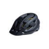 16417_F1_00.png