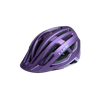 16433_F1_00.png