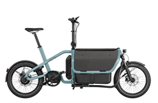 Riese & Müller Carrie vario 545 Wh 24J (aqua´n´blue)