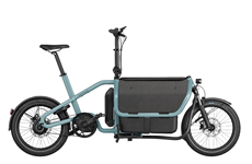 Riese & Müller Carrie vario 545 Wh 24J (aqua´n´blue)