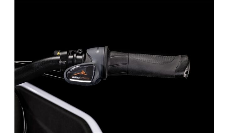 Cube Cargo Dual Hybrid 1000 25J