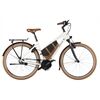Riese & Müller Cruiser2 Mixte silent 725 Wh 25J