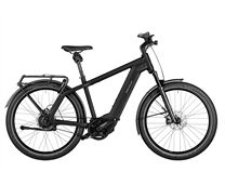 Riese & Müller Charger4 GT vario 750 Wh 25J
