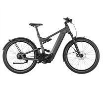 Riese & Müller Delite4 GT vario 750 Wh 25J