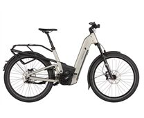 Riese & Müller Homage5 GT pinion 800 Wh DaE 25J