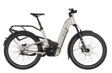 Riese & Müller Homage5 GT pinion 800 Wh DaE 25J (silber)